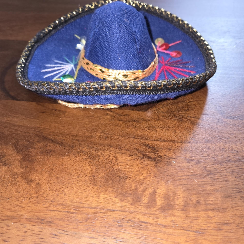 Dog Or Cat Blue Sombrero with Gold Trim